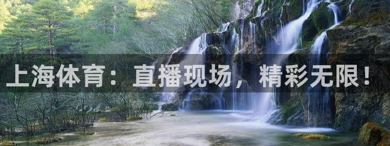 上海体育：直播现场，精彩无限！
