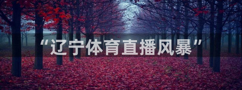 “辽宁体育直播风暴”