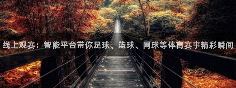 线上观赛：智能平台带你足球、篮球、网球等体育赛事精彩瞬间