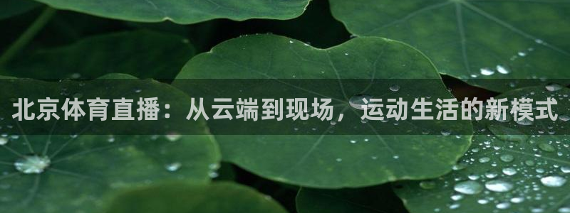 北京体育直播：从云端到现场，运动生活的新模式