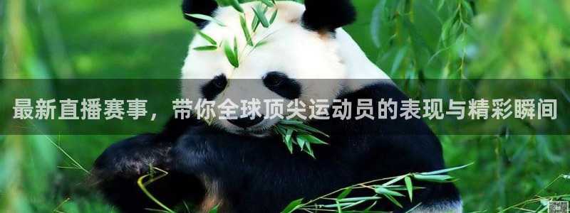 最新直播赛事，带你全球顶尖运动员的表现与精彩瞬间