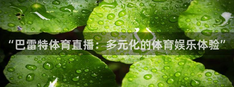 “巴雷特体育直播：多元化的体育娱乐体验”