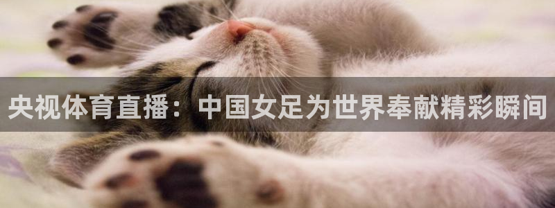 央视体育直播：中国女足为世界奉献精彩瞬间
