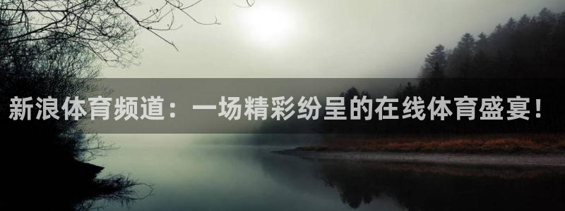 新浪体育频道：一场精彩纷呈的在线体育盛宴！