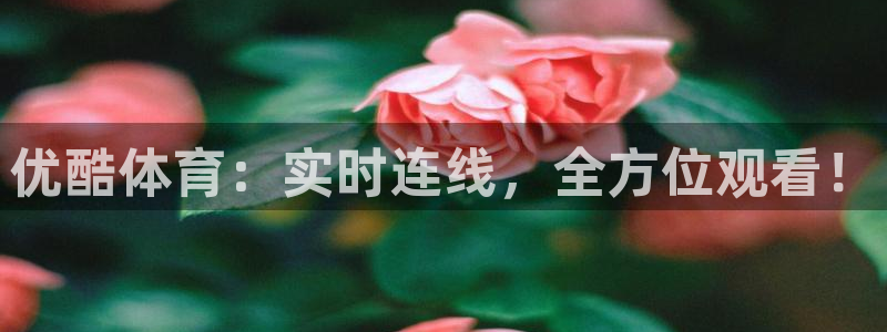 优酷体育：实时连线，全方位观看！