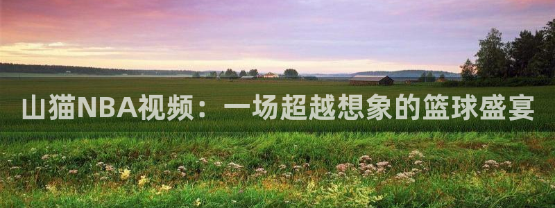 山猫NBA视频：一场超越想象的篮球盛宴