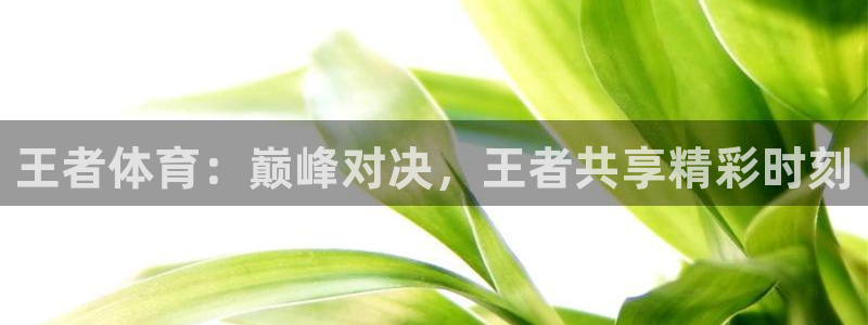 王者体育：巅峰对决，王者共享精彩时刻