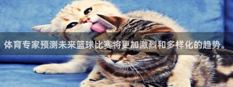 体育专家预测未来篮球比赛将更加激烈和多样化的趋势。
