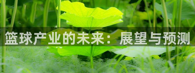 篮球产业的未来：展望与预测