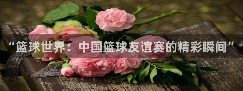 “篮球世界：中国篮球友谊赛的精彩瞬间”