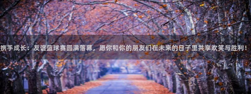 携手成长：友谊篮球赛圆满落幕，愿你和你的朋友们在未来的日子里共享欢笑与胜利！