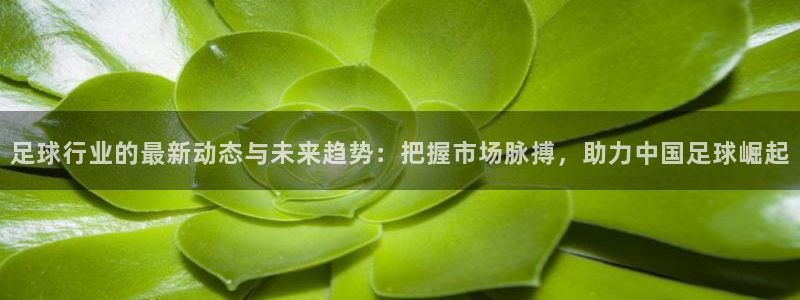 足球行业的最新动态与未来趋势：把握市场脉搏，助力中国足球崛起