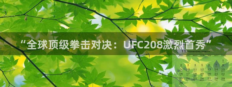 “全球顶级拳击对决：UFC208激烈首秀”