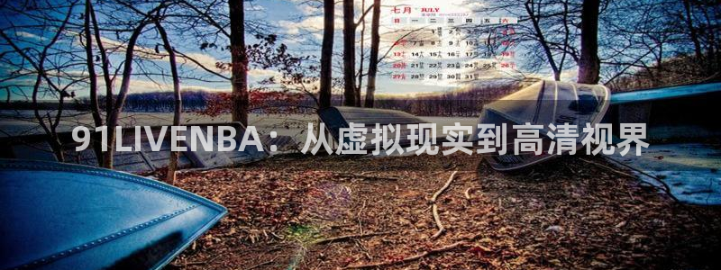 91LIVENBA：从虚拟现实到高清视界