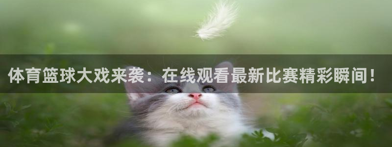 体育篮球大戏来袭：在线观看最新比赛精彩瞬间！