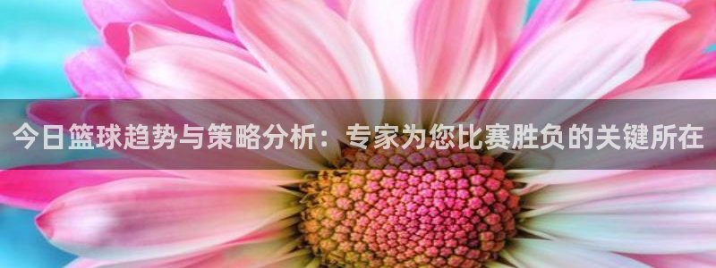 今日篮球趋势与策略分析：专家为您比赛胜负的关键所在