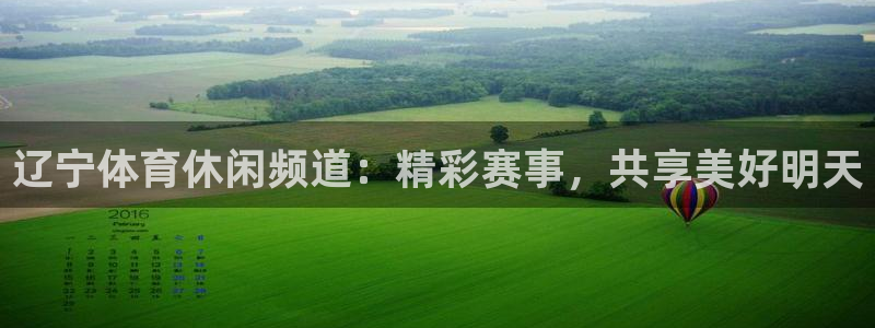 辽宁体育休闲频道：精彩赛事，共享美好明天