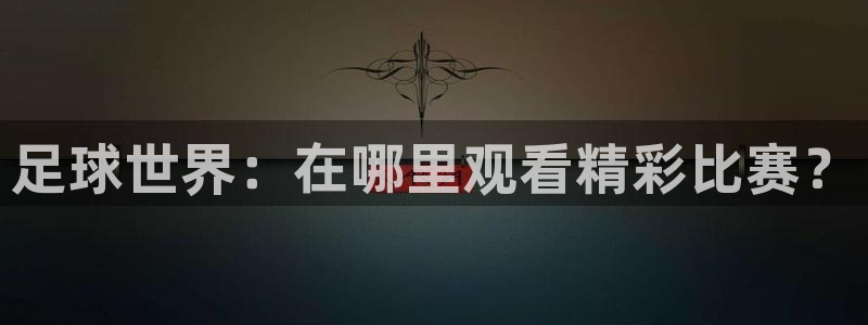 足球世界：在哪里观看精彩比赛？
