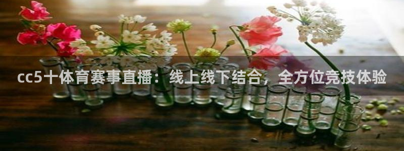 cc5十体育赛事直播：线上线下结合，全方位竞技体验