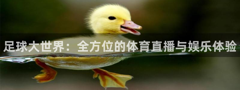 足球大世界：全方位的体育直播与娱乐体验
