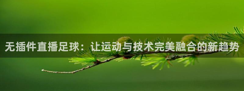 无插件直播足球：让运动与技术完美融合的新趋势