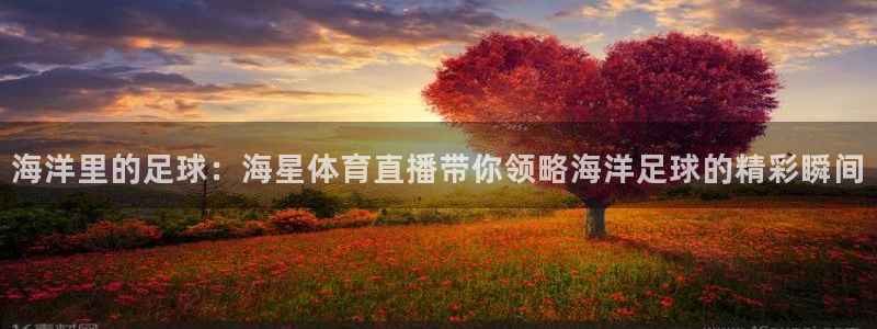 海洋里的足球：海星体育直播带你领略海洋足球的精彩瞬间