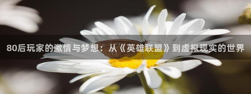 80后玩家的激情与梦想：从《英雄联盟》到虚拟现实的世界