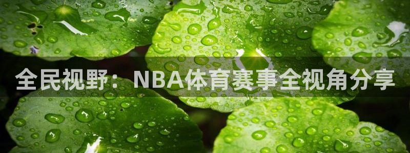 全民视野：NBA体育赛事全视角分享