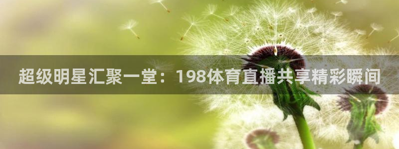 超级明星汇聚一堂：198体育直播共享精彩瞬间