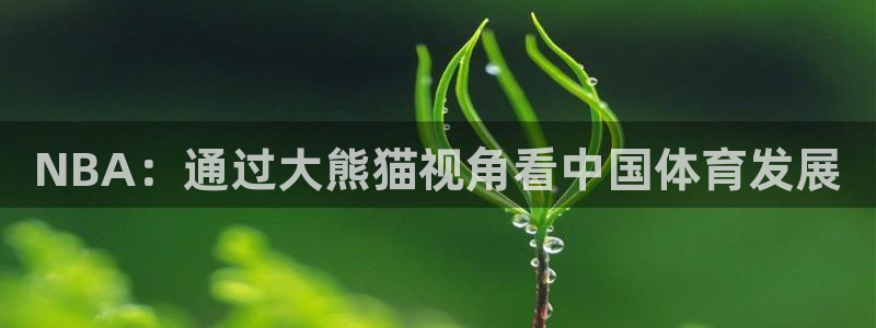 NBA：通过大熊猫视角看中国体育发展