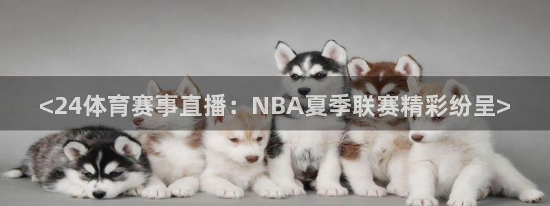 <24体育赛事直播：NBA夏季联赛精彩纷呈>