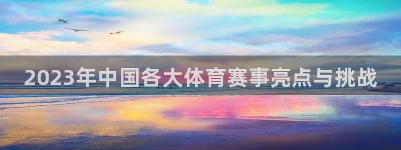 2023年中国各大体育赛事亮点与挑战
