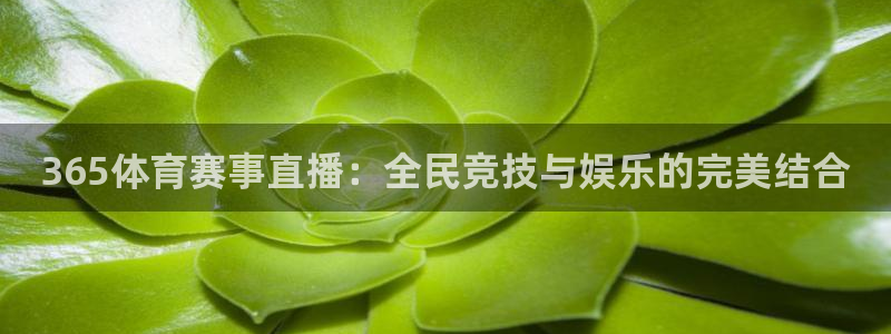 365体育赛事直播：全民竞技与娱乐的完美结合