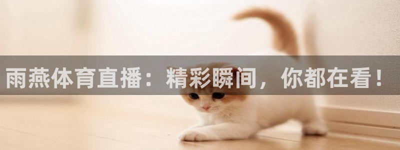 雨燕体育直播：精彩瞬间，你都在看！