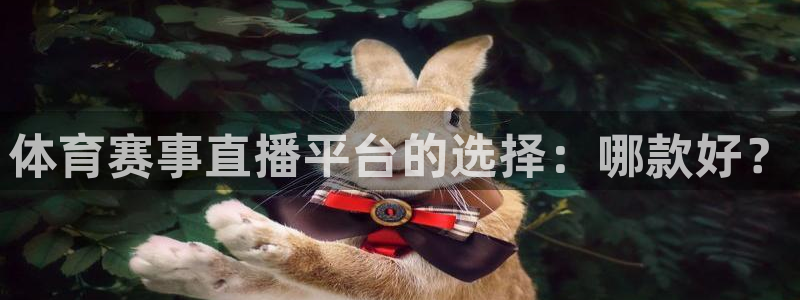 体育赛事直播平台的选择：哪款好？