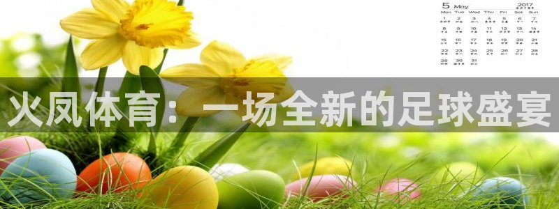 火凤体育：一场全新的足球盛宴