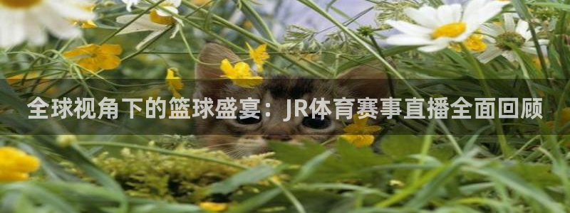 全球视角下的篮球盛宴：JR体育赛事直播全面回顾