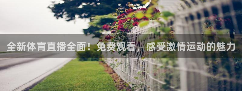 全新体育直播全面！免费观看，感受激情运动的魅力