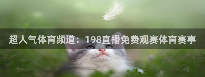 超人气体育频道：198直播免费观赛体育赛事