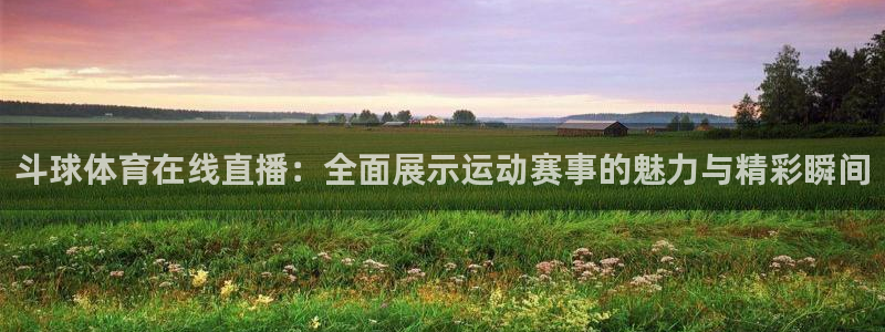 斗球体育在线直播：全面展示运动赛事的魅力与精彩瞬间