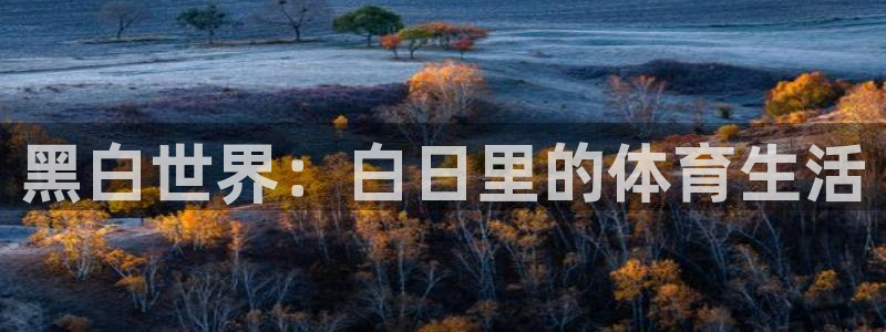 黑白世界：白日里的体育生活