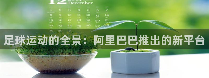 足球运动的全景：阿里巴巴推出的新平台