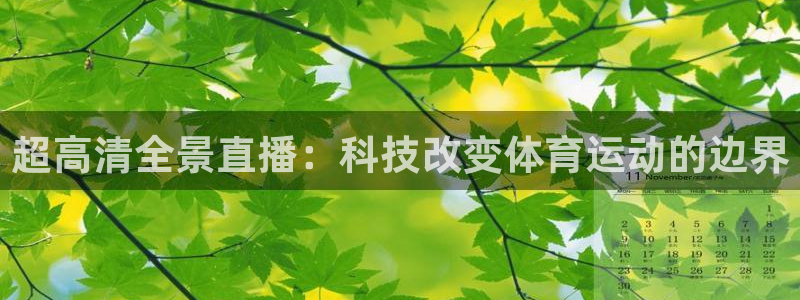 超高清全景直播：科技改变体育运动的边界
