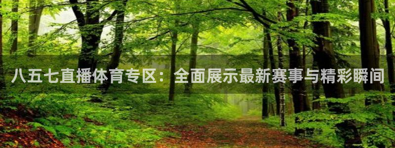 八五七直播体育专区：全面展示最新赛事与精彩瞬间