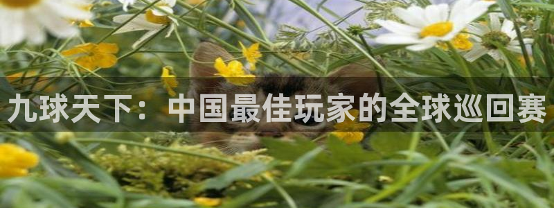 九球天下：中国最佳玩家的全球巡回赛