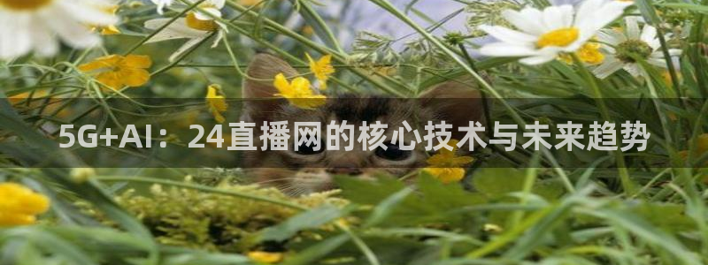5G+AI：24直播网的核心技术与未来趋势